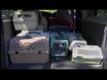 News video: Area pet donation drop off spots set up to benefit Moore